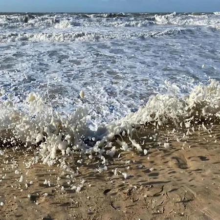 Lejlighed In Near The *