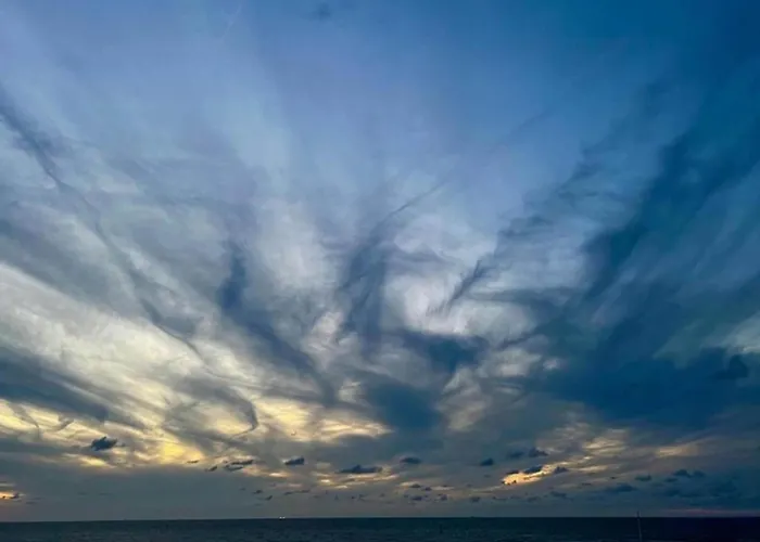 公寓 In Near The *